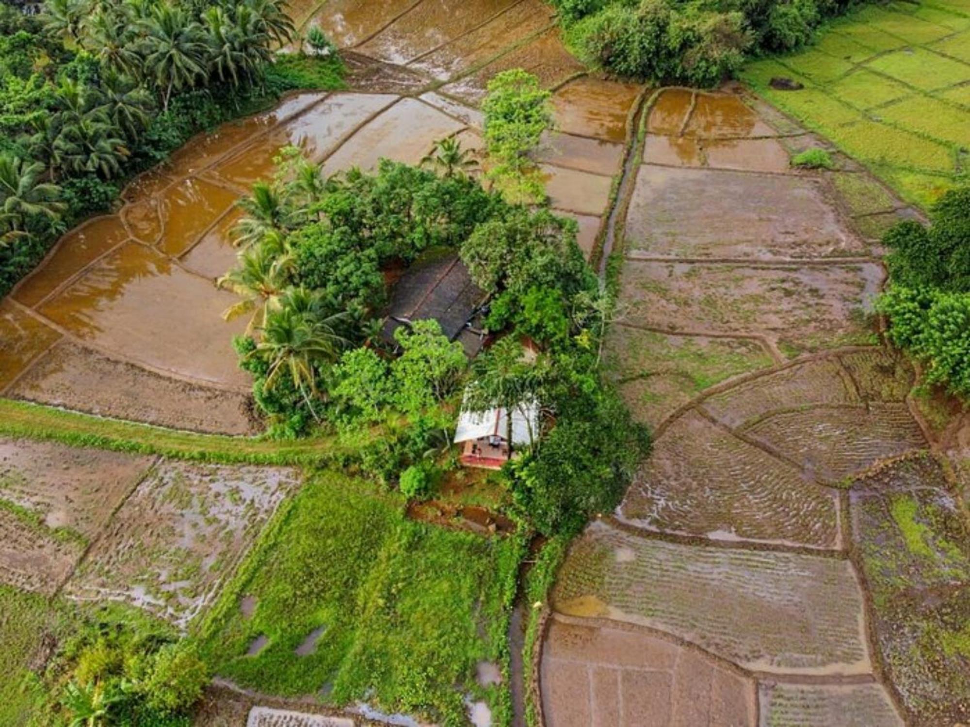 Forest & Fields Sinharaja Deniyaya Exterior photo