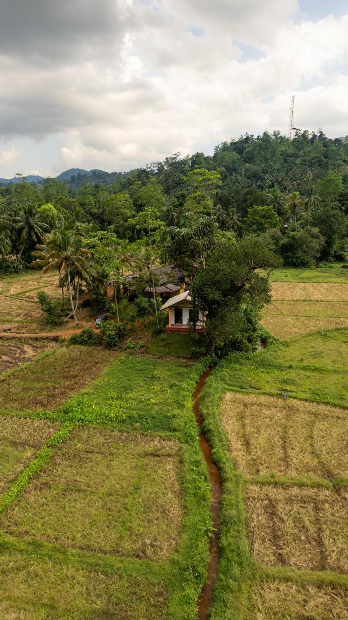 Forest & Fields Sinharaja Deniyaya Exterior photo