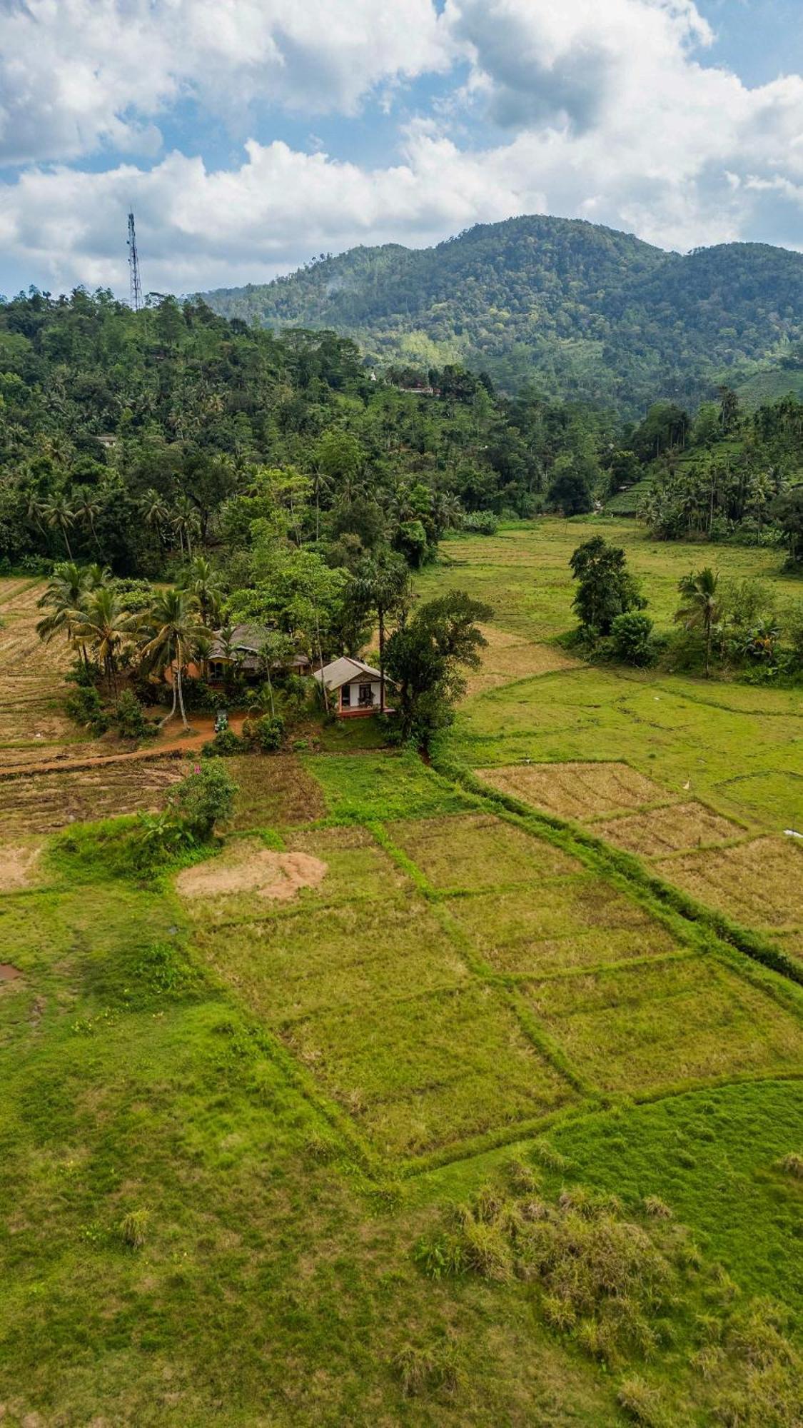 Forest & Fields Sinharaja Deniyaya Exterior photo