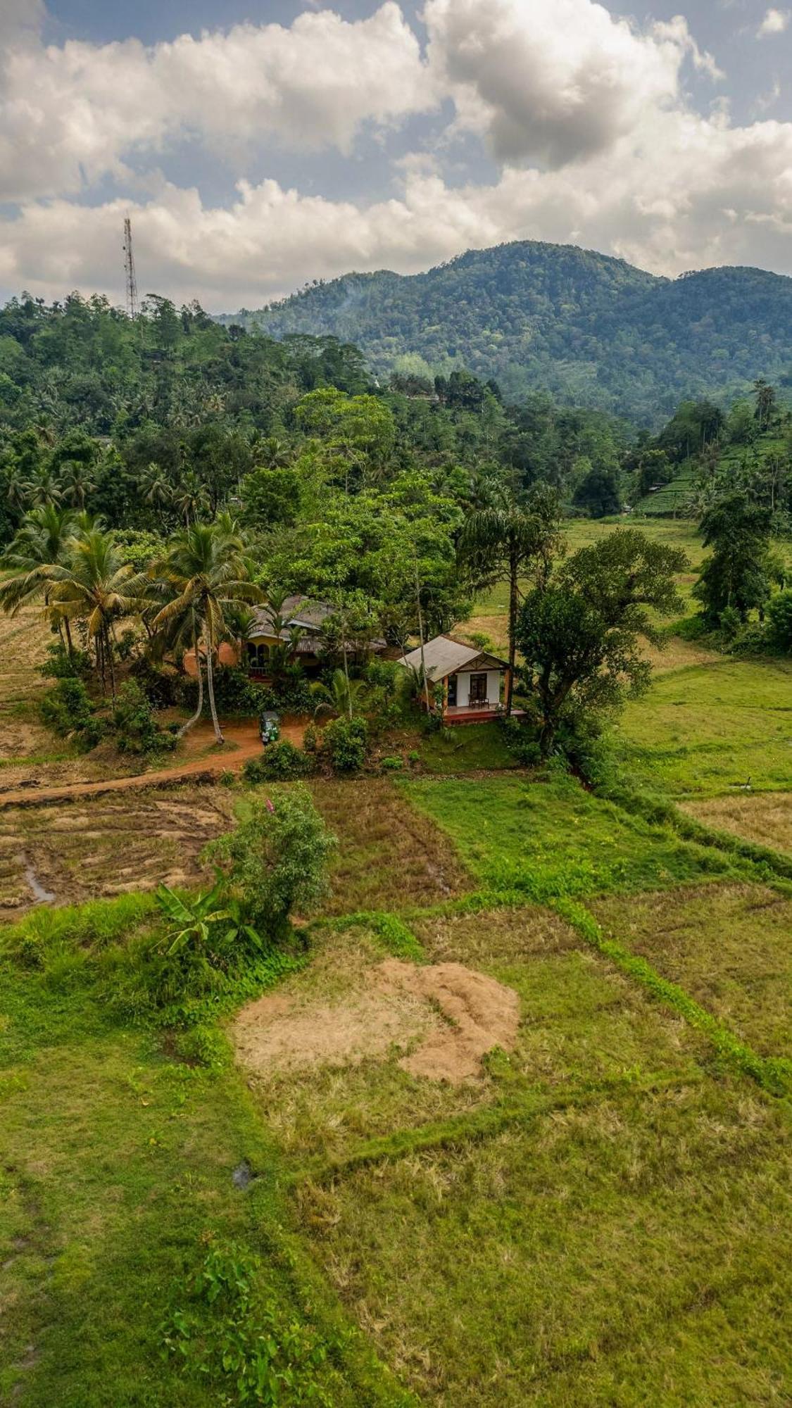 Forest & Fields Sinharaja Deniyaya Exterior photo