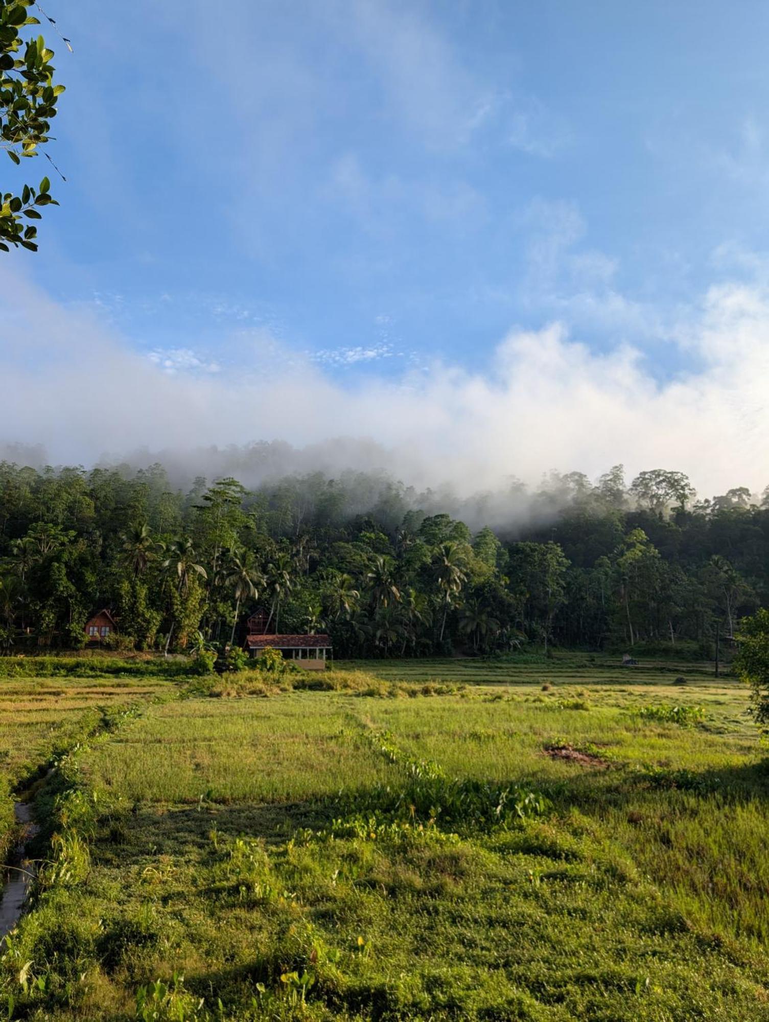 Forest & Fields Sinharaja Deniyaya Exterior photo